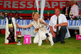 Einhausen Bester Foxterrier.jpg