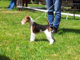 Audrey, Steigerthal.jpg